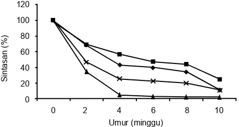 Tabel 4. Sintasan P. maxima (%) selama 10 minggu pemeliharan pada kedalaman berbeda.