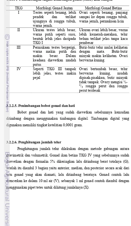 Tabel 1. Perkembangan tingkat kematangan gonad (TKG) ikan samgeh   