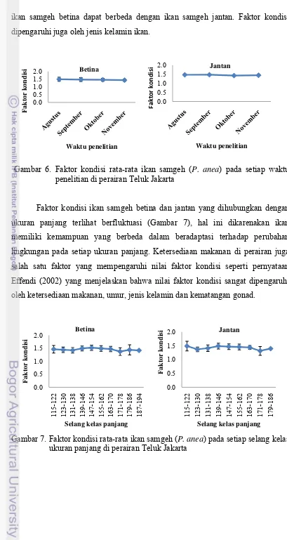 Gambar 6. Faktor kondisi rata-rata ikan samgeh (P. anea) pada setiap waktu             