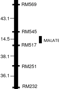 Figure 3. Genetic map of malate secretion locus in rice chromosome 3. 