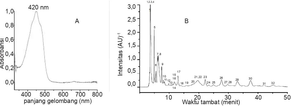 Gambar 6.  Hasil analisis ekstrak kasar pigmen bakteri Anemon Hijau. A: Spektrum ekstrak kasar pigmen dengan spektrofotometer UV-Vis Varian Cary 50
