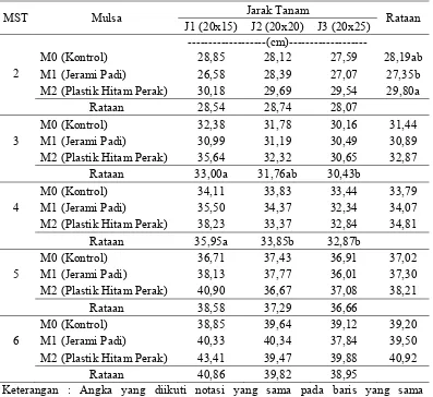 Tabel 1. Panjang tanaman 2-6 MST pada perlakuan pemberian mulsa dan pengaturan jarak tanam 