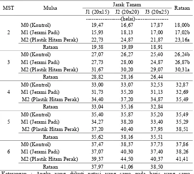 Tabel 2. Jumlah daun 2-6 MST pada perlakuan pemberian mulsa dan pengaturan jarak tanam 