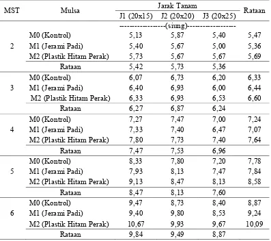 Tabel 3. Jumlah anakan 2-6 MST pada perlakuan pemberian mulsa dan pengaturan jarak tanam 