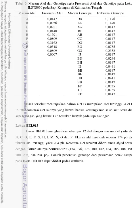 Tabel 6. Macam Alel dan Genotipe serta Frekuensi Alel dan Genotipe pada Lokus ILSTS030 pada Sapi Katingan di Kalimantan Tengah 