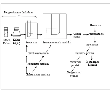 Gambar 1. Skema dari proses fermentasi (Stanbury dan Whitaker, 1987). 