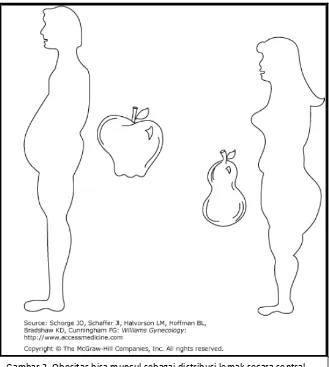 Gambar 2. Obesitas bisa muncul sebagai distribusi lemak secara sentral 