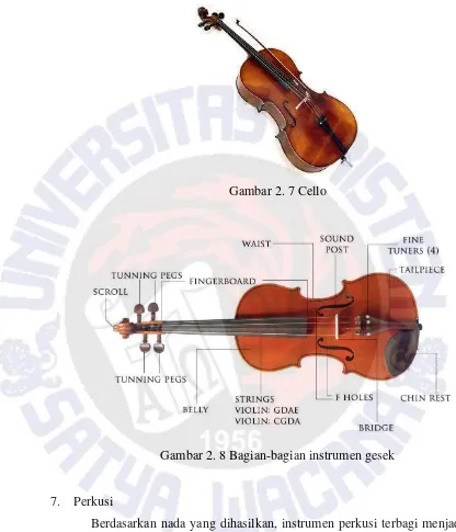 Gambar 2. 7 Cello 