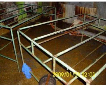 Gambar 14. Proses merebus teri nasi  