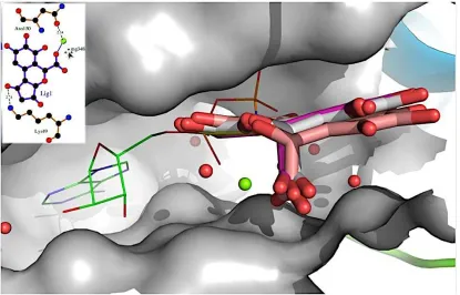 Figure 4. The best three of docked ligands for protein 1TDI represent as –Log (Grid Score) 