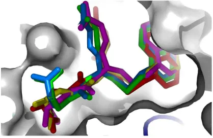 Figure 1. Docked position of native ligands inside 3LJR protein resulted from molecular docking compared to its crystallography data