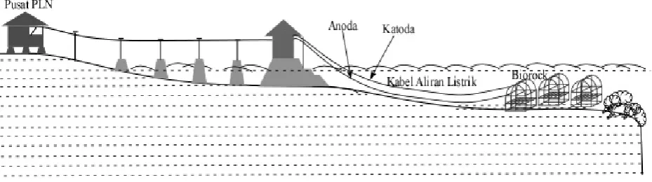 Gambar 2. Ilustrasi denah sistim biorock di perairan Pulau Siladen.