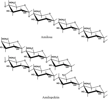 Gambar 2.3. Struktur Dari Amilosa dan Amilopektin ( Miller, 1980) 