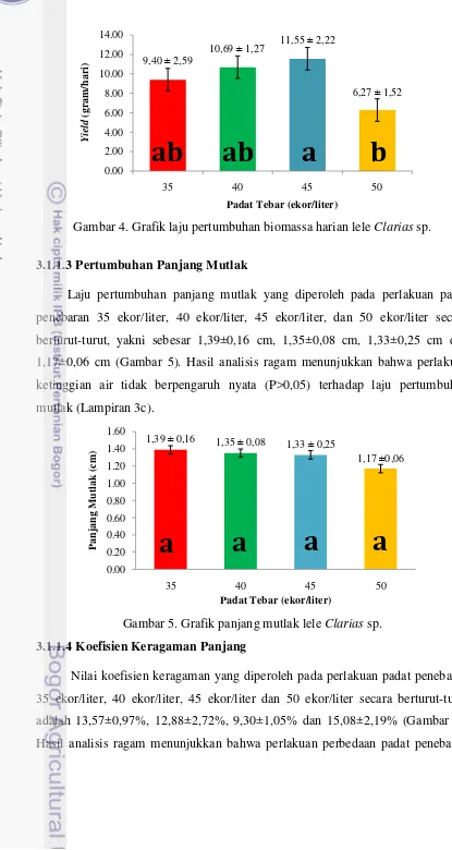 Gambar 4. Grafik laju pertumbuhan biomassa harian lele Clarias sp. 