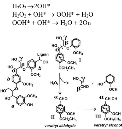 Gambar 1. Reaksi peruraian lignin oleh H2O2 