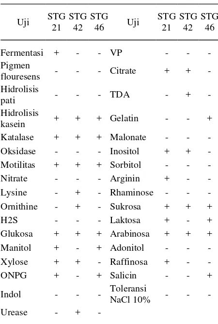 Tabel 2. Sifat-sifat Isolat STG21, STG42, dan STG46 Berdasarkan Uji Fisiologi  