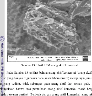 Gambar 13. Hasil SEM arang aktif komersial 