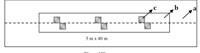 Gambar 4  Plot contoh untuk pengukuran biomassa. 