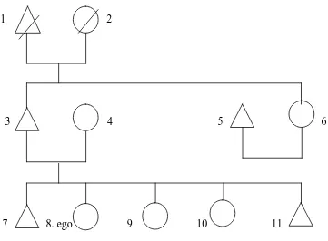 Gambar 5 : Diagram Kekerabatan Keluarga Dewi  