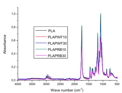 Figure 3. SEM of pure polylactide. 
