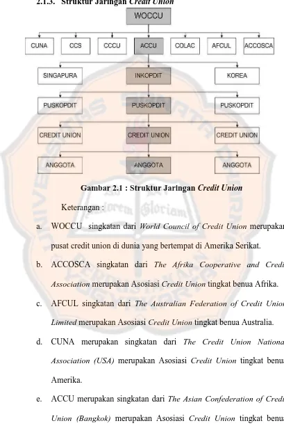 Gambar 2.1 : Struktur Jaringan Credit Union 