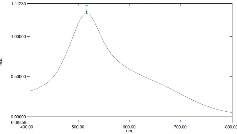 Gambar 4.1.Kurva serapan maksimum larutan DPPH 40 mcg/ml dalam metanol  secara   spektrofotometri visible