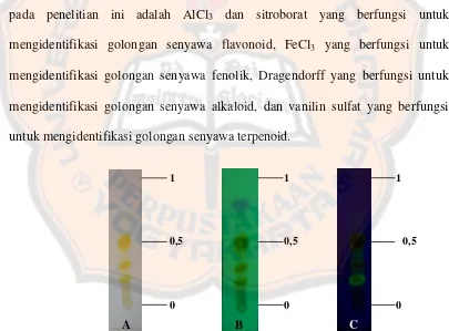 Gambar 5.  Ekstrak rimpang kunyit pada deteksi secara fisik (A = secara visual, B = deteksi pada UV 254 nm, C = deteksi pada UV 366 nm)