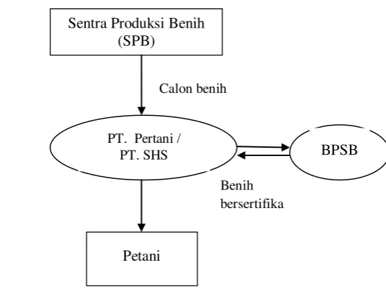 Gambar 3   Sistem penyediaan benih kedelai secara formal di Sulawesi Selatan 