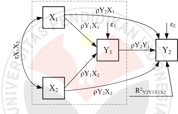Gambar 3.1. Diagram jalur yang menyatakan hubungan kausal X1,X2 ke Y1 dan Y2 