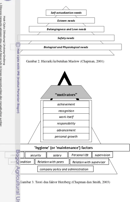 Gambar 2. Hierarki kebutuhan Maslow (Chapman, 2001) 