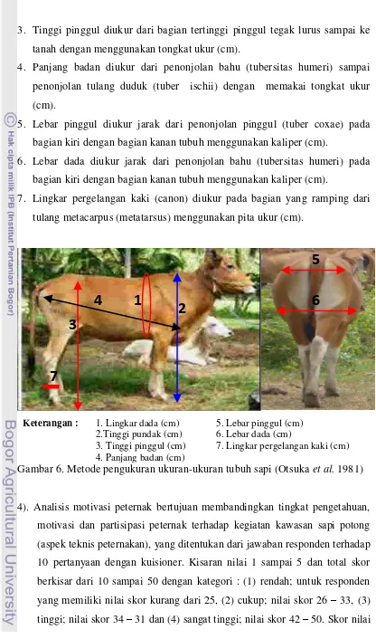 Gambar 6. Metode pengukuran ukuran-ukuran tubuh sapi (Otsuka et al. 1981) 