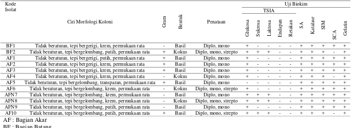 Tabel 4.1.1 Karakteristik Isolat Bakteri Endofit dari Akar dan Batang Tanaman Tapak Dara 