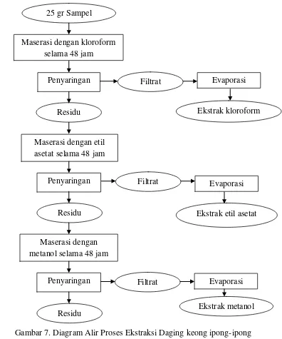 Gambar 7. Diagram Alir Proses Ekstraksi Daging keong ipong-ipong  
