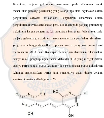 Gambar 7. Kromogen MDA-TBA (Rahman, 2000). 