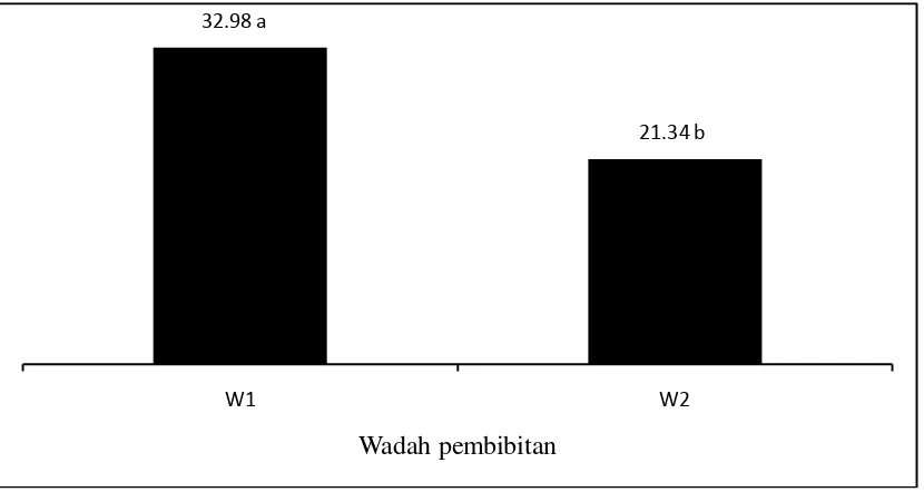 Gambar 1. Histogram tinggi bibit bud chips tebu (cm) 10 MSPT pada dua jenis  wadah pembibitan (W)