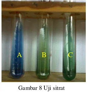 Gambar 7 Uji indol 