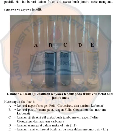 Gambar 4. Hasil uji kualitatif senyawa fenolik pada fraksi etil asetat buah  jambu mete 