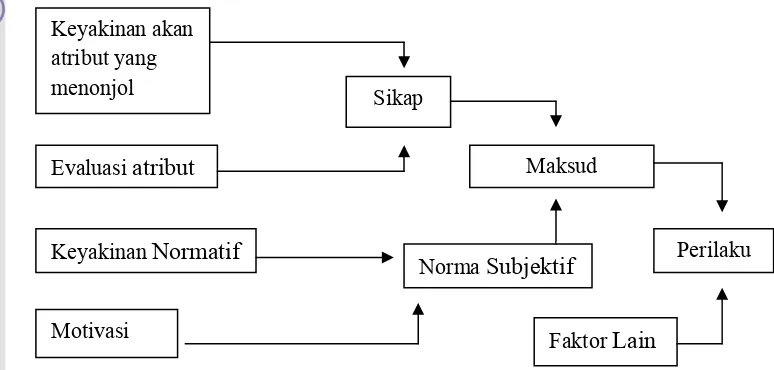 Gambar 6  Model sikap dan perilaku fishbein (Umar, 2003) 