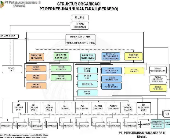 Gambar 4. Struktur Organisasi PT. Perkebunan Nusantara III  