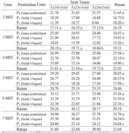 Tabel 1. Tinggi tanaman bawang merah umur 2-7 MST (cm) pada perlakuan pembelahan umbi dan jarak tanam 