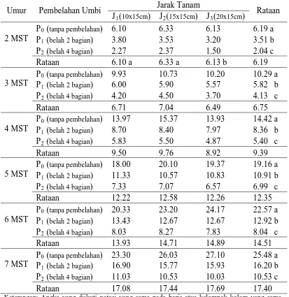 Tabel 2. Jumlah daun tanaman bawang merah umur 2-7 MST pada perlakuan  pembelahan umbi dan jarak tanam 