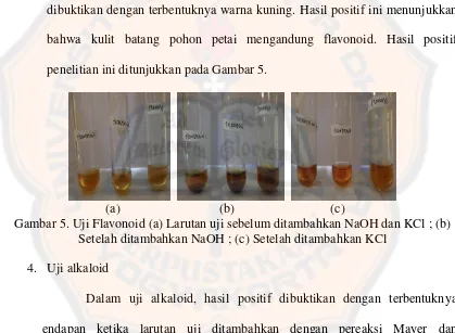 Gambar 5. Uji Flavonoid (a) Larutan uji sebelum ditambahkan NaOH dan KCl ; (b) 