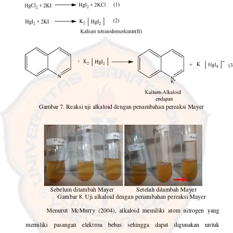 Gambar 7. Reaksi uji alkaloid dengan penambahan pereaksi Mayer 