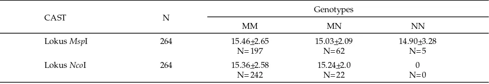 Table 2. Average of body weight local sheep in The Jonggol Animal Science Teaching and Research Unit (JASTRU), Faculty of Animal Science-Bogor Agricultural University, by CAST genotype locus MspI and NcoI (kg)