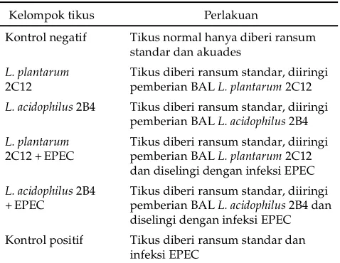 Tabel 1. Kelompok perlakuan tikus percobaan