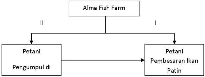 Gambar 6. Alur Distribusi Benih Ikan Patin pada  Alma Fish Farm Bogor 