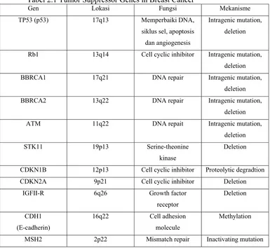 Tabel 2.1 Tumor Suppressor Genes in Breast Cancer 
