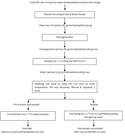 Fig. 1. Flowchart depicting the unit operations involved in the preparation of roe protein concentrates and total lipid 