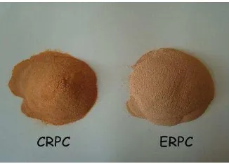 Fig. 3.  Sorption isotherms of roe protein concentrates of Cyprinus carpio (CRPC) and Epinephelus tauvina (ERPC) 