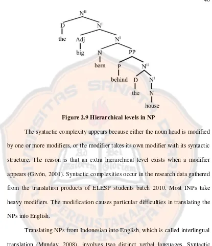 Figure 2.9 Hierarchical levels in NP 